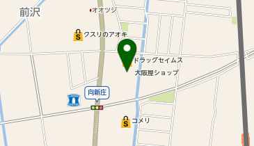 ヤングドライグループ ヤングドライ大阪屋立山店の地図画像