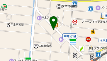 日本政策金融公庫 厚木支店 中小企業事業の地図画像
