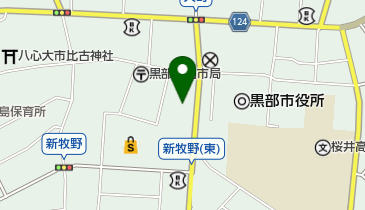 新川ベースボールパークバッチコイの地図画像