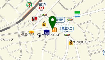 鷺沼カイロプラクティック鍼灸整体院の地図画像