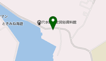 とし鍼灸マッサージ治療院の地図画像