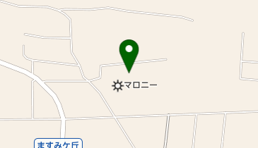 マロニー株式会社信州伊那工場の地図画像