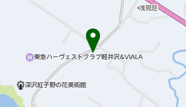 株式会社ディーエルディー軽井沢営業所の地図画像
