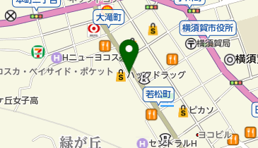 ミリタリーショップヨコスカ三笠本店の地図画像