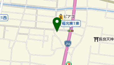 株式会社新生メディカル 長良ステーションの地図画像