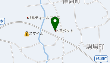 岐阜トヨペット株式会社中津川店の地図画像