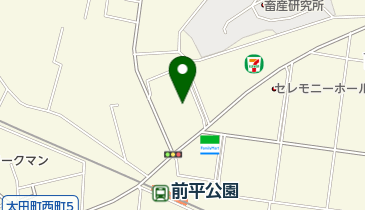 のうひグリーンホール 前平の地図画像