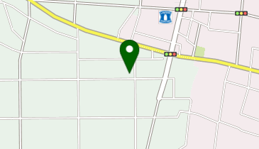 宝カイロプラクティックセンターの地図画像