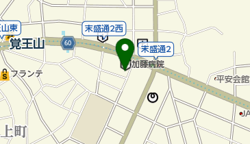 加藤病院美容皮膚科の地図画像