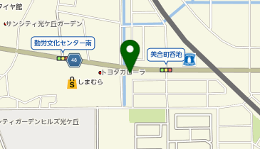 岡崎カイロプラクティックの地図画像