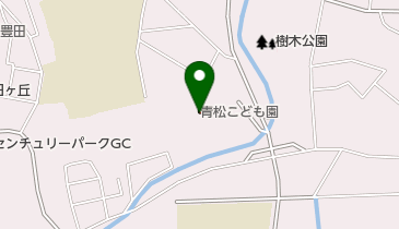 神龍寺の地図画像