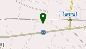 ドルフィンスイミングスクールの地図画像