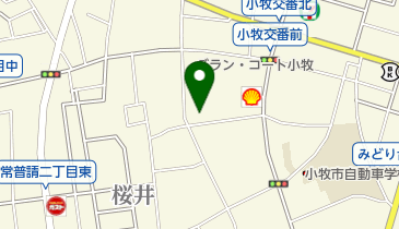 日蓮宗啓運寺妙見堂の地図画像