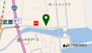 ニートレックス(nitolex)の地図画像