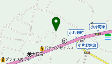 野瀬鍼灸院の地図画像