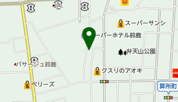 ペルシアンの地図画像