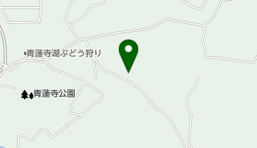 辻本ぶどう園38号園の地図画像