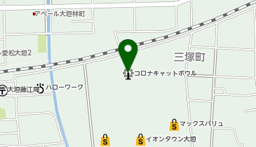 天然温泉コロナの湯大垣店の地図画像