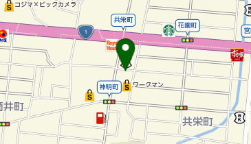 シャーリグラーマ(SaligRama)の地図画像