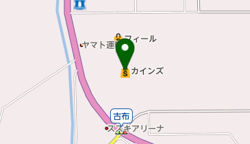 カーニバルフィール美浜店の地図画像