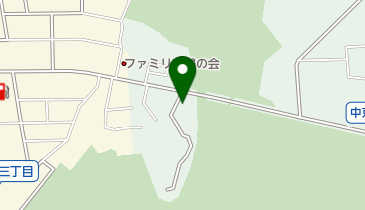 AceGolf室内練習場の地図画像