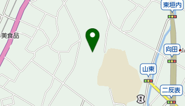 船津神社の地図画像