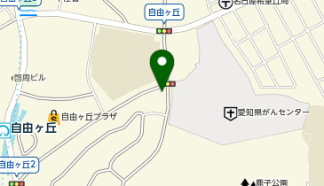 日本調剤 徳川山薬局の地図画像