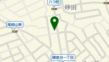 ライオン薬局漢方堂の地図画像