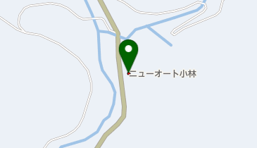 ニューオート小林の地図画像