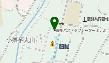 株式会社カラット 醍醐店の地図画像