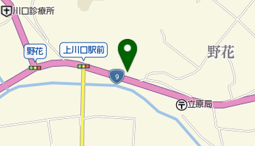 川口自動車整備工場の地図画像