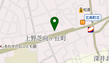 柴田動物病院の地図画像