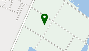 池内特殊合板の地図画像