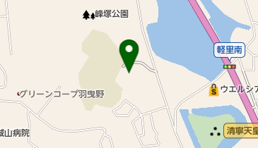 有限会社はびきのエル・エスの地図画像