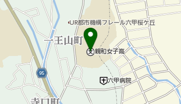 学校法人親和学園汲温会館の地図画像