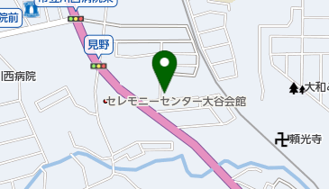 Timelyの地図画像