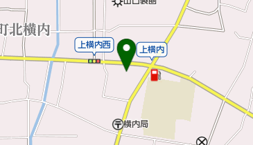 堀整形外科の地図画像