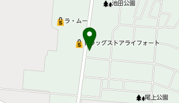 Wash・Dry・IKEDAの地図画像