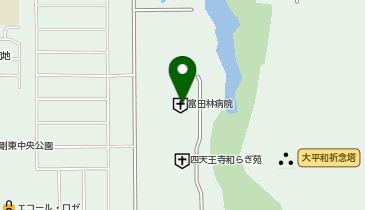 富田林病院 訪問看護ステーションの地図画像