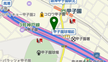 タイガースショップアルプスの地図画像