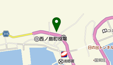 河内商店の地図画像