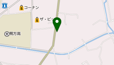 中原整骨院の地図画像