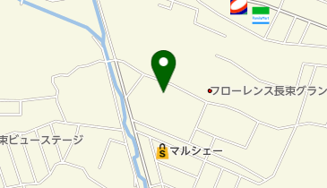 新光プレス紙工業株式会社の地図画像