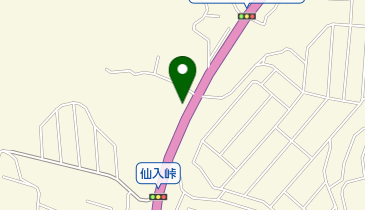 河尻整骨院の地図画像