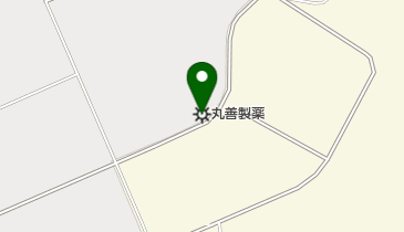 丸善製薬株式会社 三次工場の地図画像