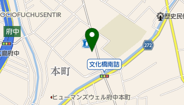 府中みずほ薬局の地図画像