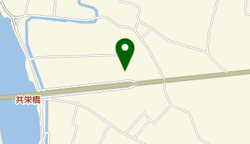 新日本理化株式会社徳島工場の地図画像