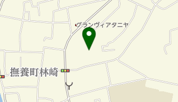 鳴門レディースカイロプラクティックの地図画像