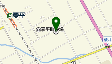 メディショップ琴平店の地図画像