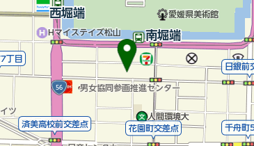 藤山糖尿病・代謝内科の地図画像